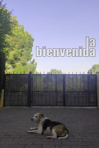 La bienvenida poster