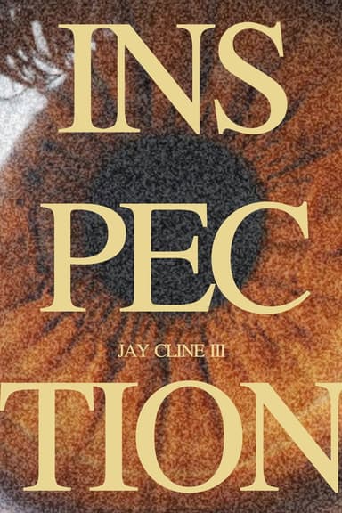 INSPECTION poster