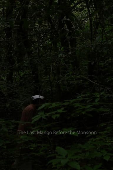 The Last Mango Before the Monsoon poster