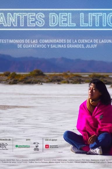 Antes del litio poster