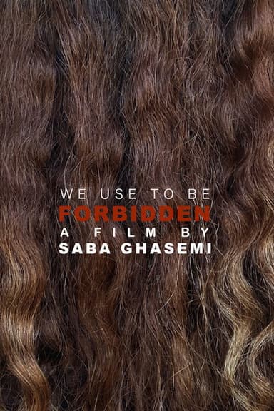 We Used To Be Forbidden poster