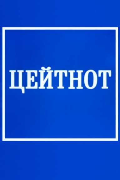Zeitnot poster