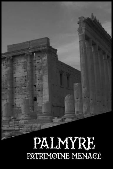 Palmyre, patrimoine menacé poster
