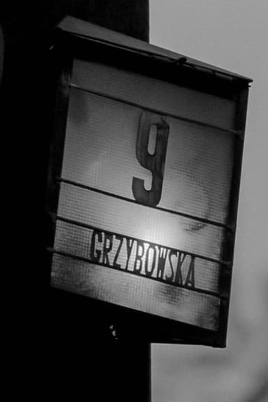 For Example, 9 Grzybowska Street poster