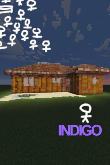 INDIGO poster