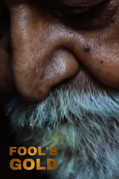 FOOL'S GOLD poster