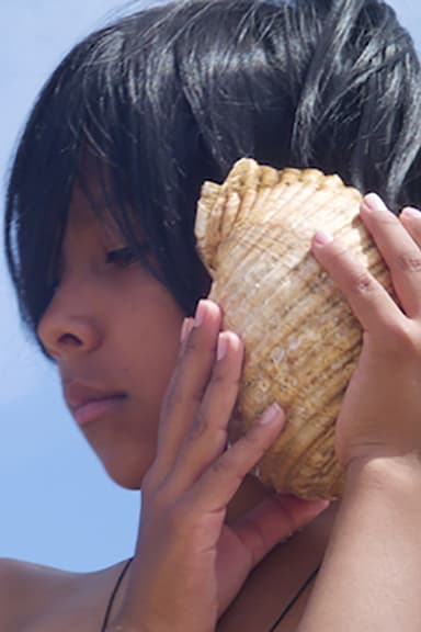 Time and the Seashell poster