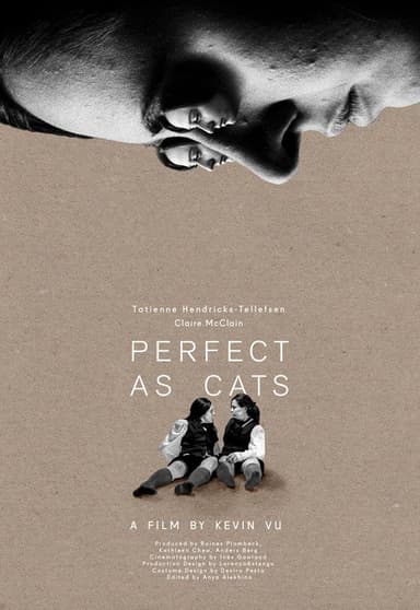 Perfect as Cats poster