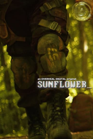 Sunflower poster