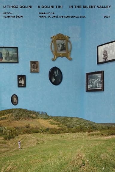 In the Silent Valley poster