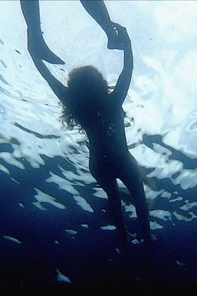 Sea Lovers poster