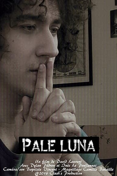 Pale Luna poster