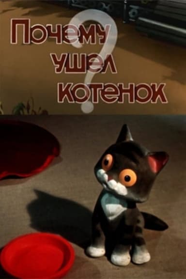 Why Did the Kitten Go Away? poster