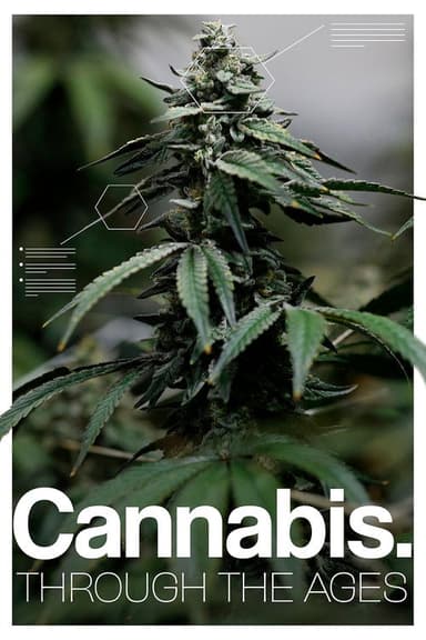 Cannabis: Through the Ages poster