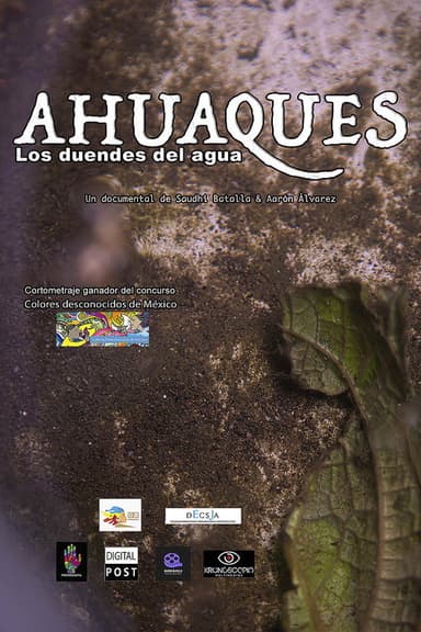 Ahuaques, the water elves poster