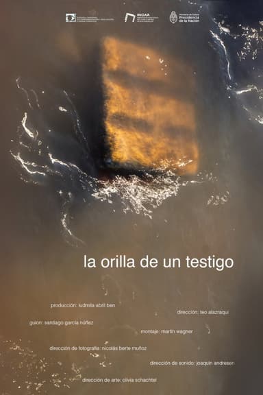 La orilla de un testigo poster