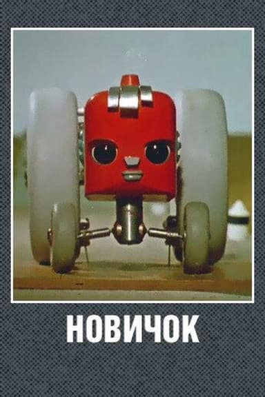 Novice poster