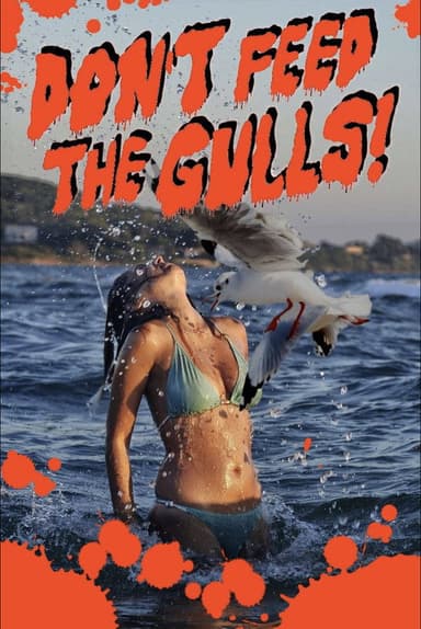 Don’t Feed the Gulls! poster