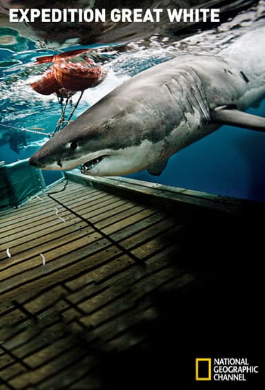 Expedition Great White poster