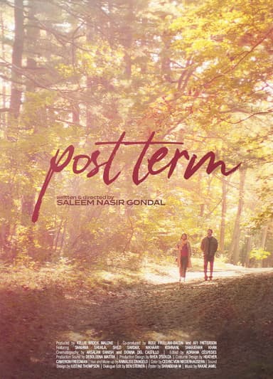 Post Term poster