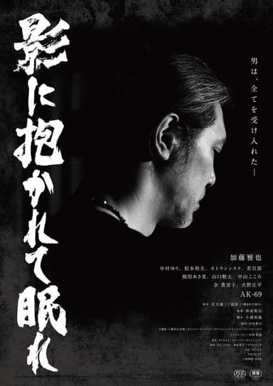 Sleep in the Shadows poster