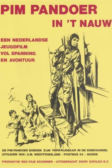 Pim Pandoer in het Nauw poster