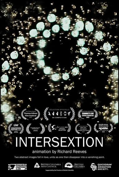 Intersextion poster