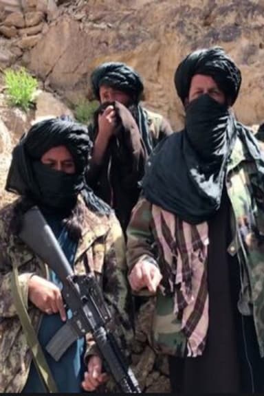 Talibanerna inifrån poster
