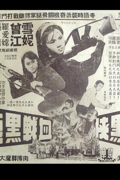 The Woman in Black and the Black Dragon poster