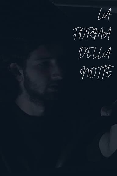 The Shape Of Night poster