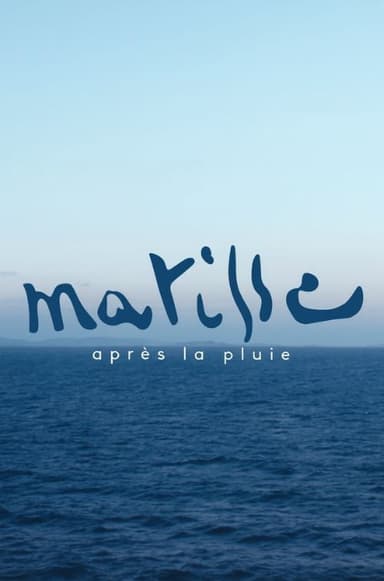Matisse après la pluie poster