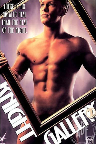 Knight Gallery 2 poster