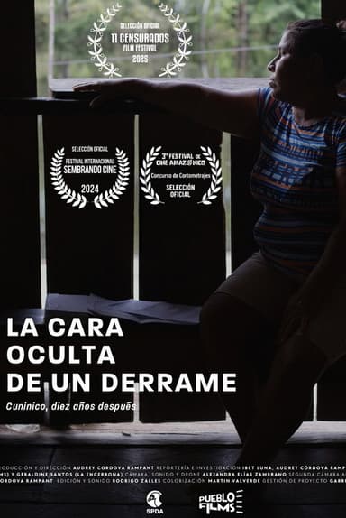 La cara oculta de un derrame poster