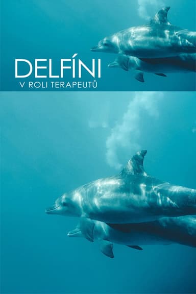 Curaçao, des dauphins thérapeutes poster