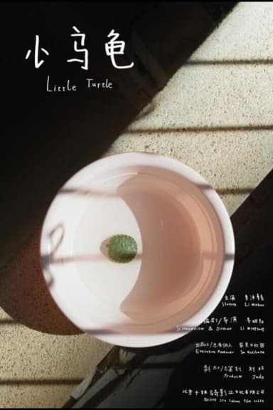 Little Turtle poster