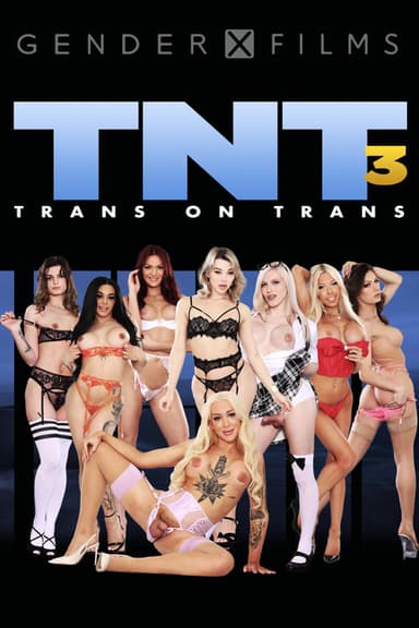 TNT: Trans On Trans 3 poster