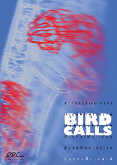 Bird Calls poster
