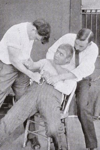 The Vivisectionist poster