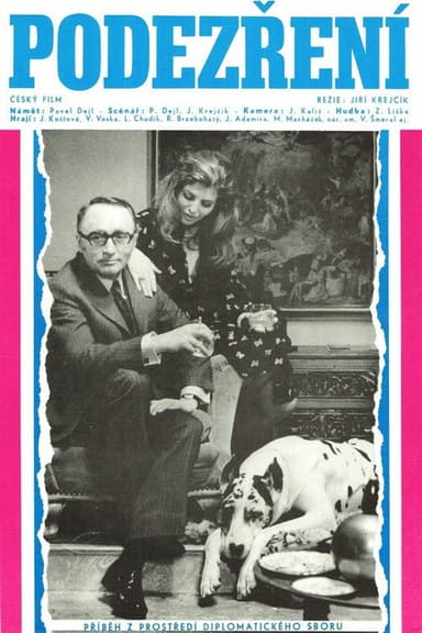 Podezření poster