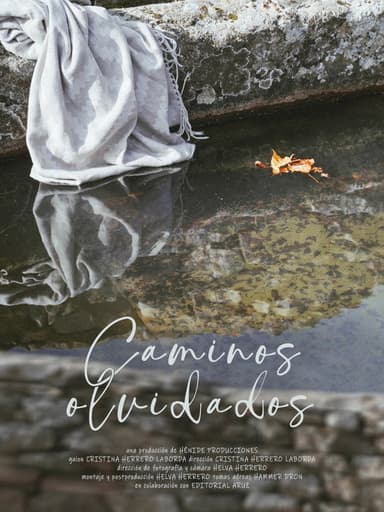 Caminos olvidados poster