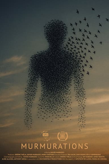Murmurations poster