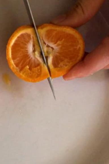 Rotten Fruit poster