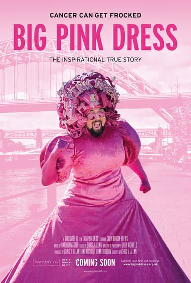 Big Pink Dress poster