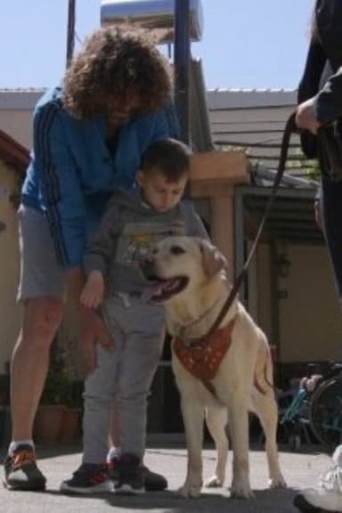 Dogs That Change Lives poster