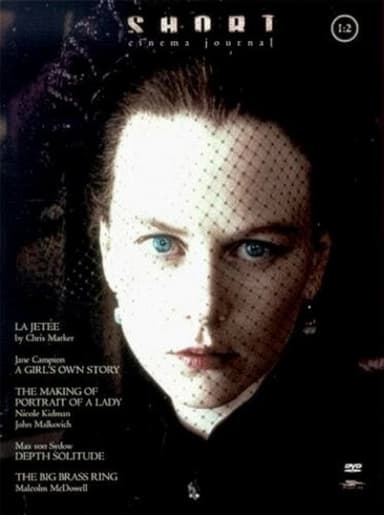 Vincent: The Junkie Chronicles poster