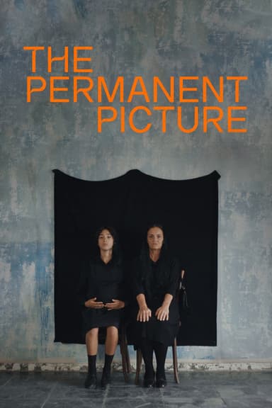 The Permanent Picture poster