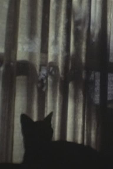 CAT ＆ CURTAIN poster