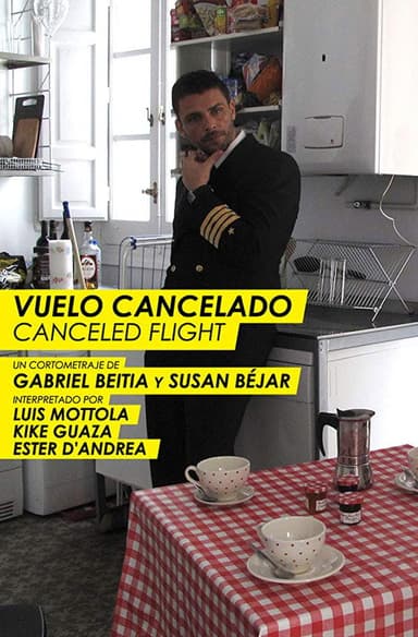 Canceled Flight poster