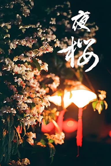 夜樱 poster