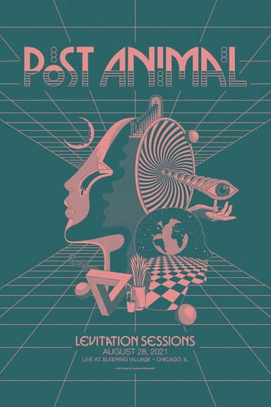Post Animal - Levitation Sessions poster